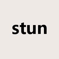 stun是什么意思