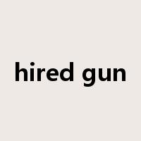 hired gun是什么意思
