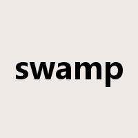 swamp是什么意思