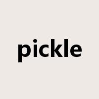 pickle是什么意思