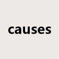 causes是什么意思