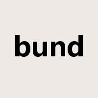 bund是什么意思
