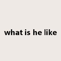 what is he like是什么意思