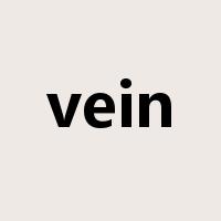 vein是什么意思