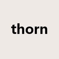 thorn是什么意思