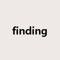 finding是什么意思