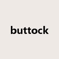 buttock是什么意思
