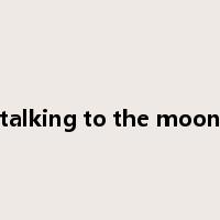 talking to the moon是什么意思