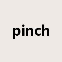 pinch是什么意思