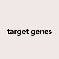 target genes是什么意思
