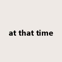 at that time是什么意思