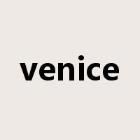 venice是什么意思