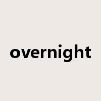 overnight是什么意思
