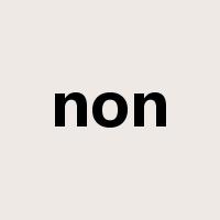 non是什么意思