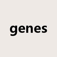 genes是什么意思