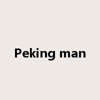 Peking man是什么意思