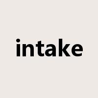 intake是什么意思