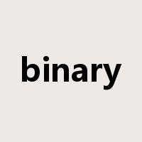binary是什么意思