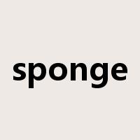 sponge是什么意思