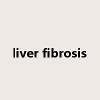 liver fibrosis是什么意思