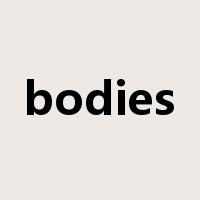 bodies是什么意思