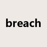 breach是什么意思