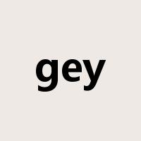 gey是什么意思