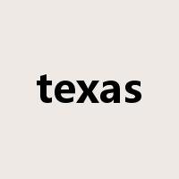 texas是什么意思