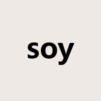 soy是什么意思