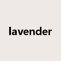 lavender是什么意思