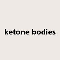 ketone bodies是什么意思