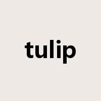 tulip是什么意思