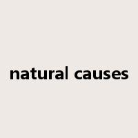 natural causes是什么意思