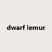 dwarf lemur是什么意思