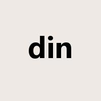 din是什么意思