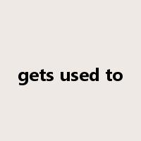 gets used to是什么意思