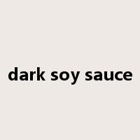 dark soy sauce是什么意思