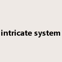 intricate system是什么意思