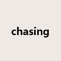 chasing是什么意思