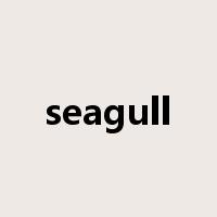 seagull是什么意思
