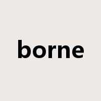 borne是什么意思