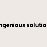 ingenious solution是什么意思