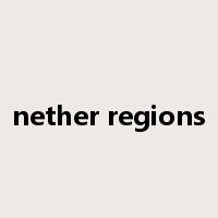 nether regions是什么意思