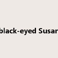 black-eyed Susan是什么意思