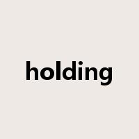 holding是什么意思
