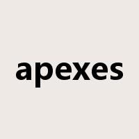apexes是什么意思