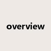overview是什么意思