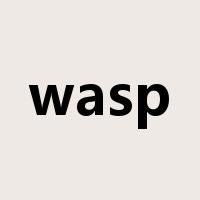 wasp是什么意思