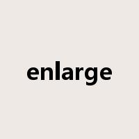 enlarge是什么意思