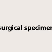surgical specimen是什么意思
